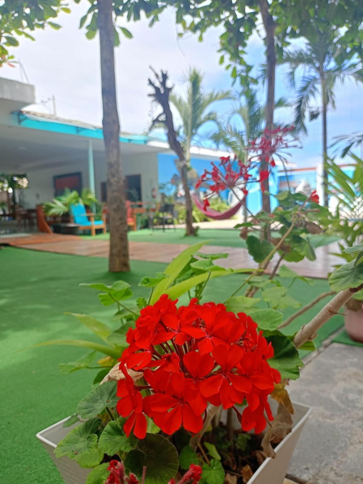 Galapagos Isabela Hotel Loja Пуерто-Вільяміль Екстер'єр фото